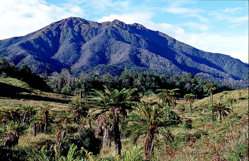 Mount Kerawa, Papua New Guinea, Tari, Huli, Highlands