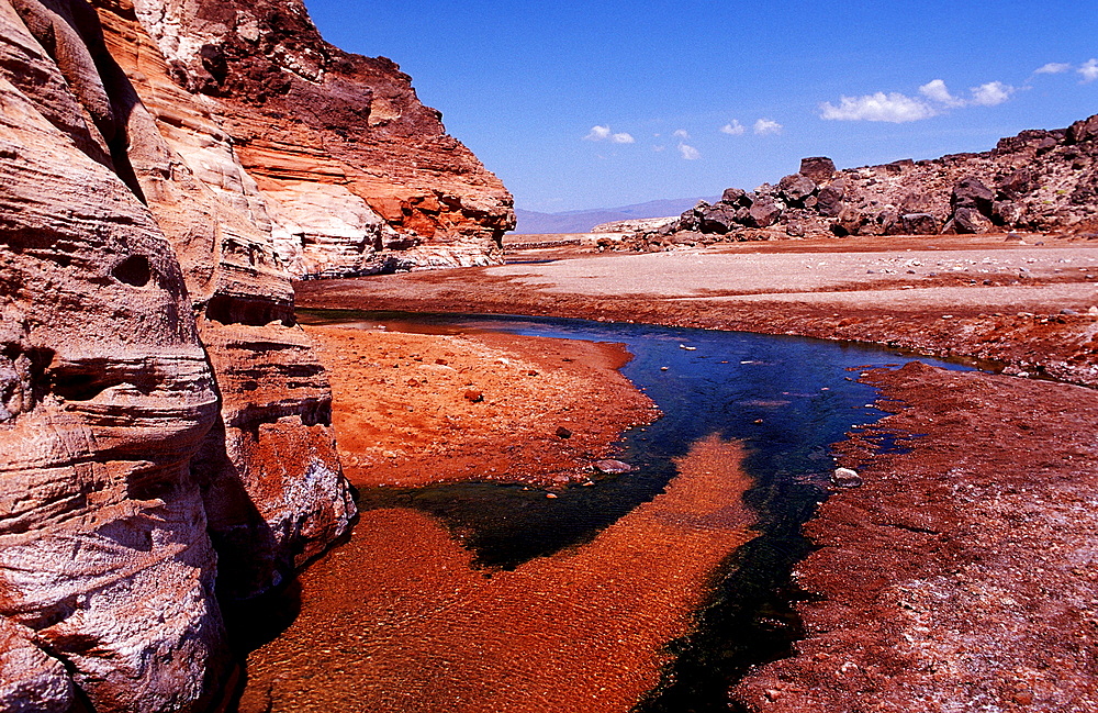 Volcanic spring beside Lac Assal, Lake Assal, Djibouti, Djibuti, Africa, Afar Triangle