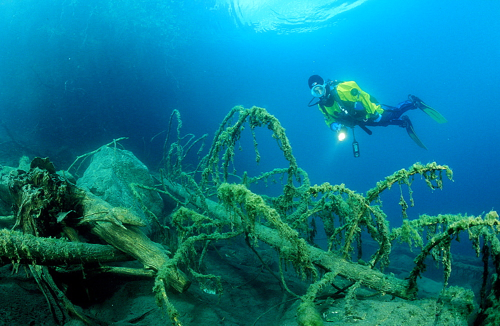 Scuba Diver in a mountain lake, Italy, Mountain Lake, Lago Di Fusine