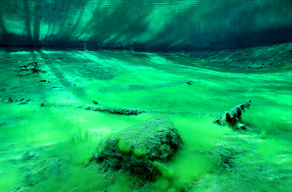 spring, mountain spring, mountain lake, Austria, Steiermark, Gruener See