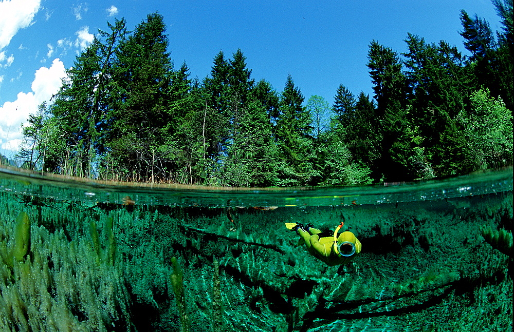 freshwater spring and scindiver, Germany, Bavaria