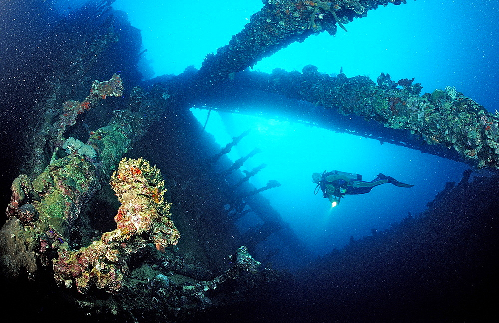 Scuba diver diving on Umbria shipwreck, Wingate Reef, Sudan, Red Sea, Africa