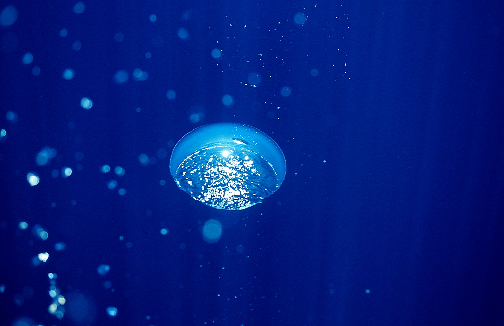 Air bubbles rising underwater, La Paz, Baja California, Mexico, Sea of Cortez, North America