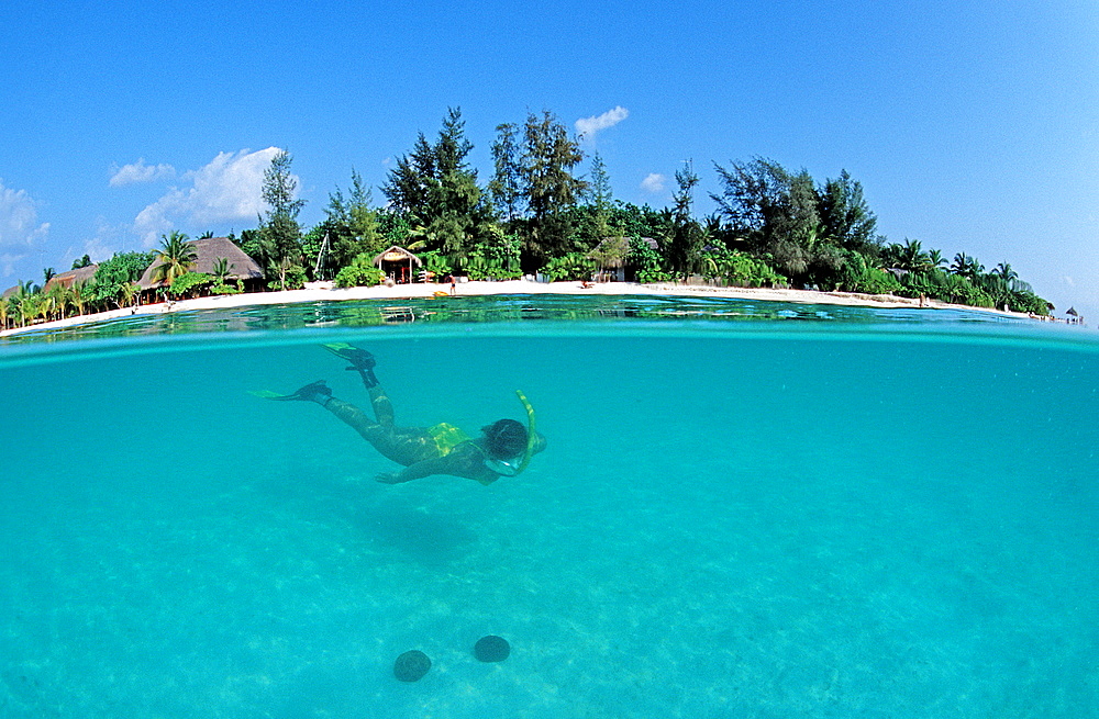 Snorkeling, Scindiver, Scin diver, split image, Maldives Island, Indian Ocean, Ari Atol, Maayafushi