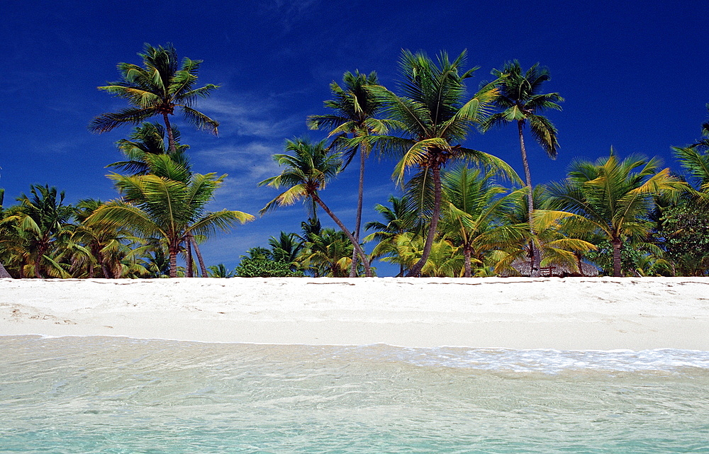 Sandy beach, Punta Cana, Dominican Republic, West Indies, Caribbean, Central America