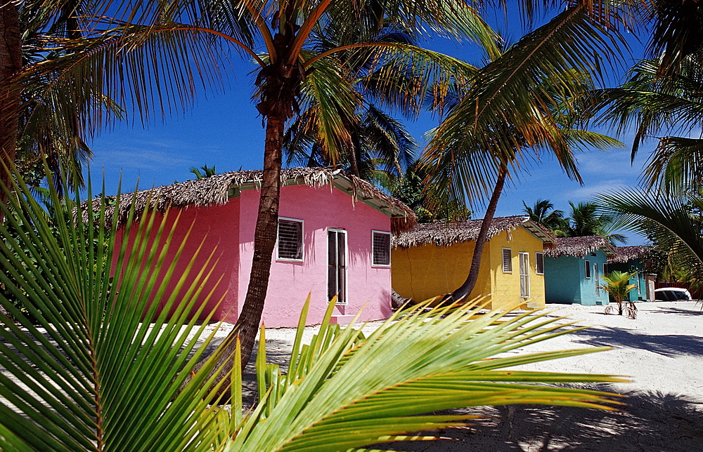 Colorful chalets on the beach, Catalina Island, Dominican Republic, West Indies, Caribbean, Central America