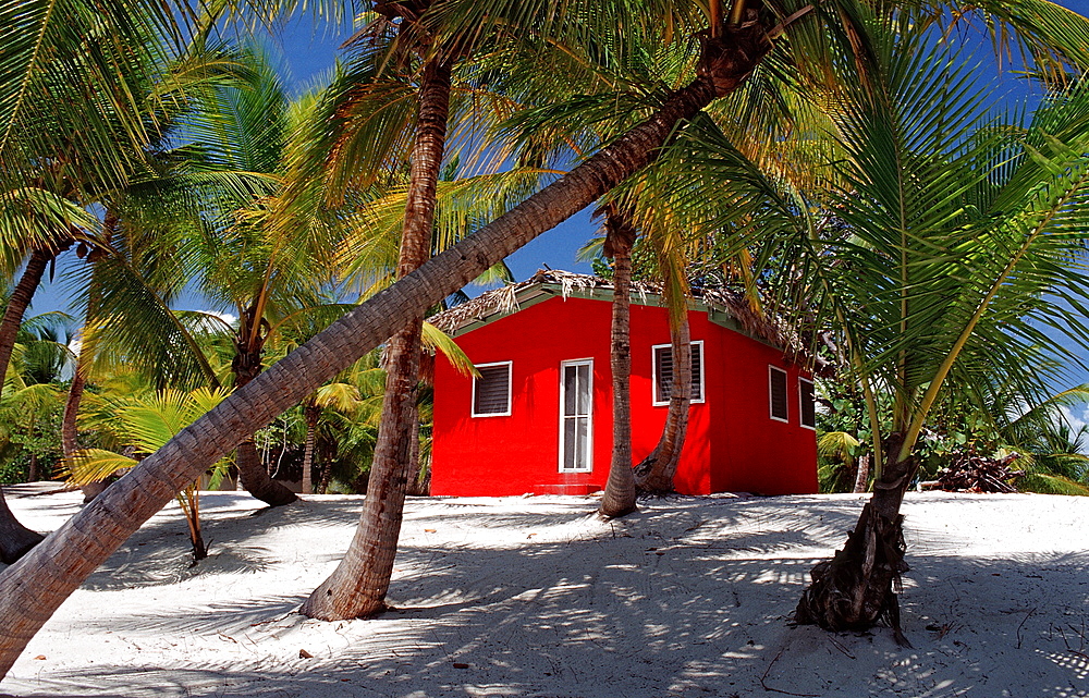 Colorful chalet on the beach, Catalina Island, Dominican Republic, West Indies, Caribbean, Central America