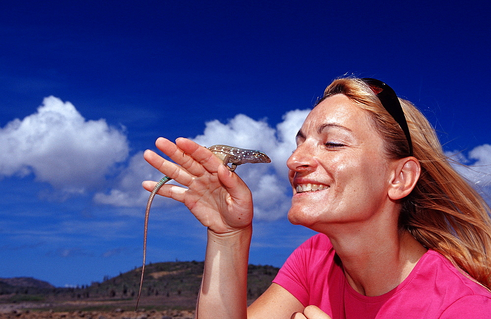 Tourist and Blue whiptail lizard, Cnemidophorus murinus ruthveni, Netherlands Antilles, Bonaire, Bonaire, Washington Slagbaai National Park, Boka Chikitu