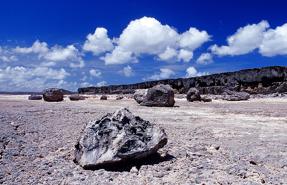 Desert landscape, Netherlands Antilles, Bonaire, Bonaire, Washington Slagbaai National Park, Suplad?