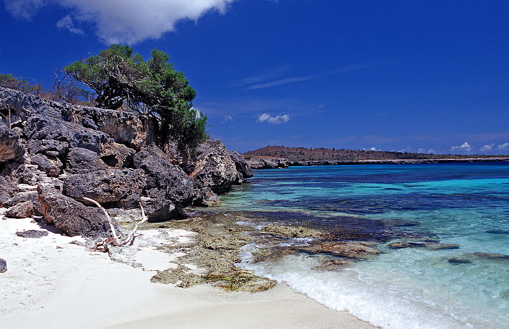 Coastel scenic of Bonaire, Netherlands Antilles, Bonaire, Caribbean Sea, Washington Slagbaai National Park, Wayaka