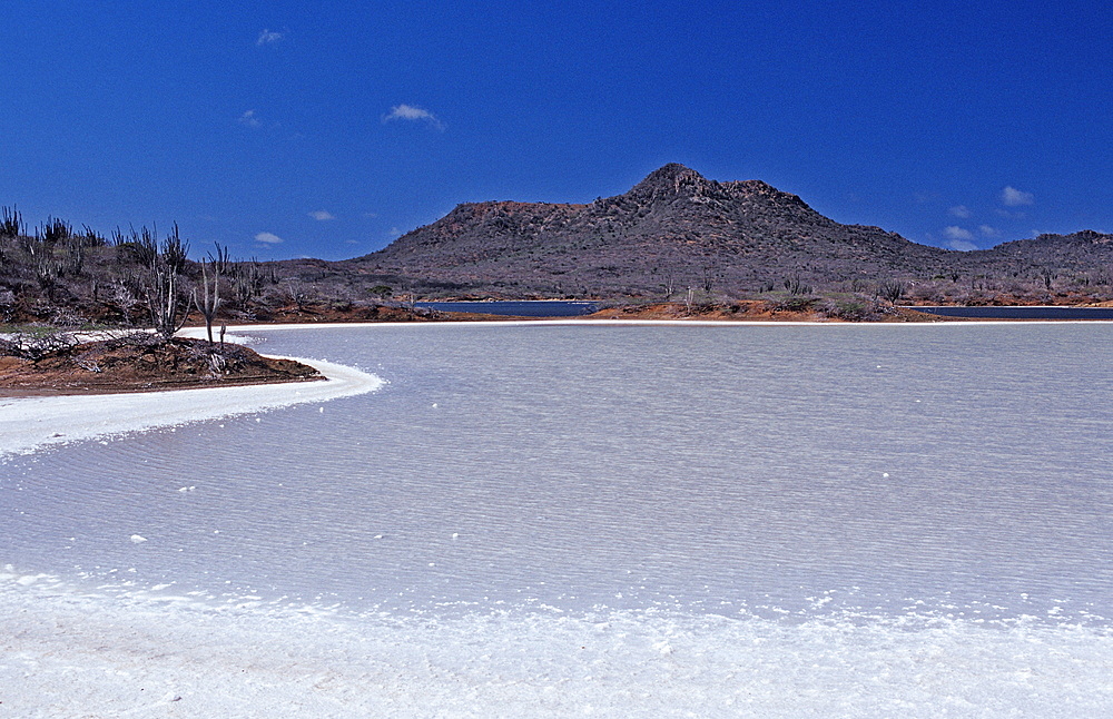 Salt lake Salina Slagbaai, Netherlands Antilles, Bonaire, Washington Slagbaai National Park, Salina Slagbaai