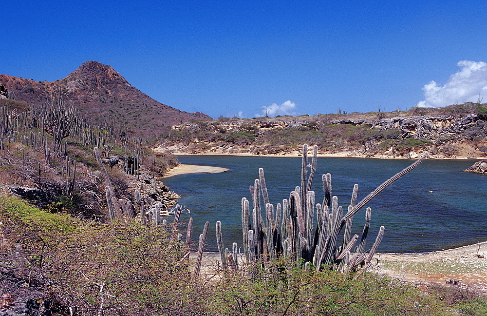 Salt lake Salina Slagbaai, Netherlands Antilles, Bonaire, Washington Slagbaai National Park, Salina Slagbaai