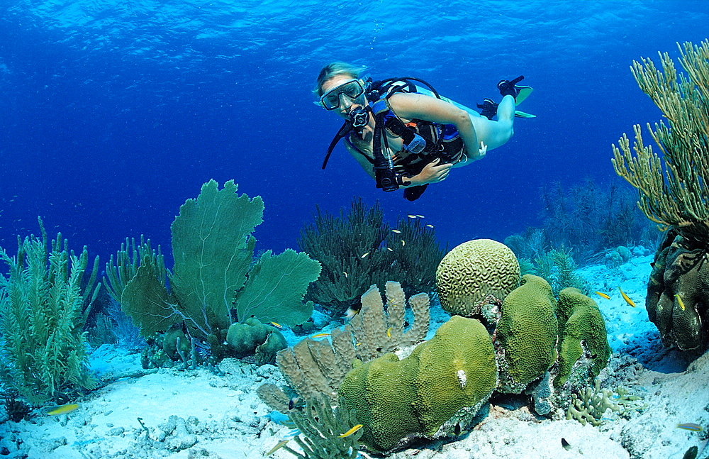 Scuba diver and coral reef, Netherlands Antilles, Bonaire, Caribbean Sea