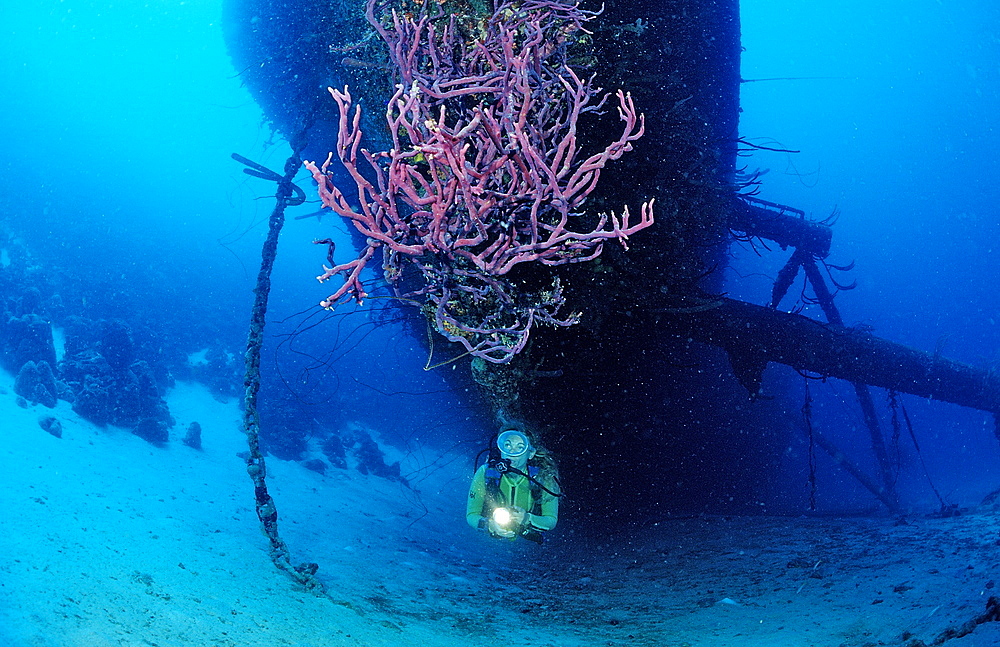 Scuba diver on the Hilma Hooker Ship Wreck, Netherlands Antilles, Bonaire, Caribbean Sea