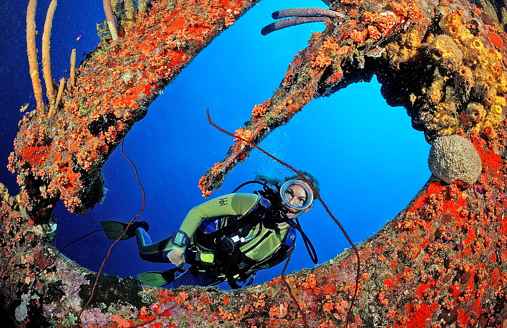 Scuba diver on the Hilma Hooker Ship Wreck, Netherlands Antilles, Bonaire, Caribbean Sea