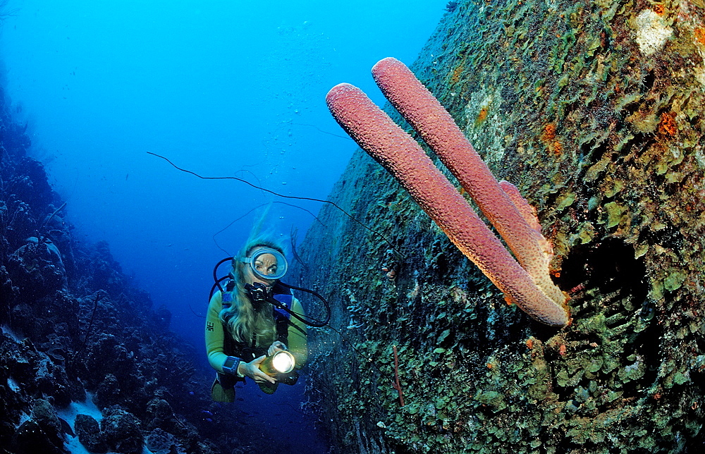 Scuba diver on the Hilma Hooker Ship Wreck, Netherlands Antilles, Bonaire, Caribbean Sea