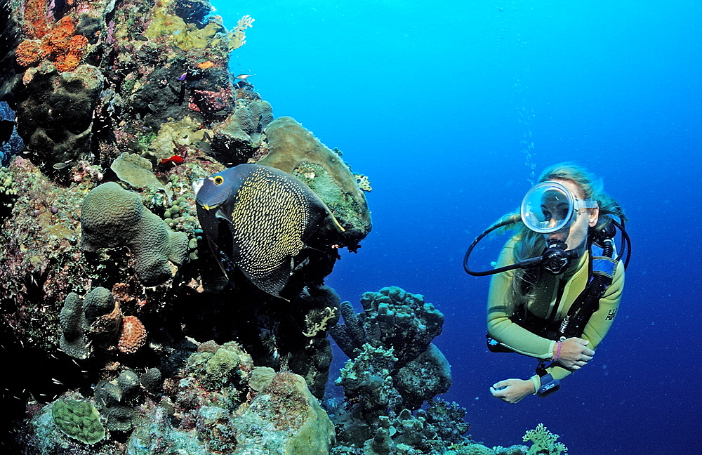 Scuba diver and coral reef, Netherlands Antilles, Bonaire, Caribbean Sea