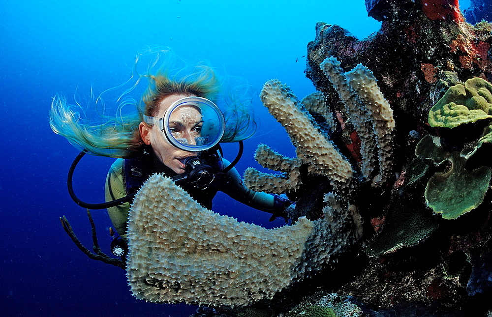 Scuba diver and coral reef, Saint Lucia, French West Indies, Caribbean Sea