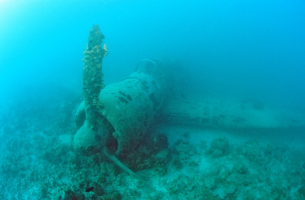 Nakajima B5N2 Kate Torpedo Bomber, Papua New Guinea, New Ireland, Kavieng