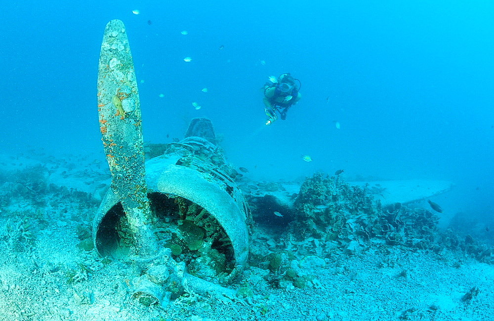 Nakajima B5N2 Kate Torpedo Bomber and Scuba diver, Papua New Guinea, New Ireland, Kavieng