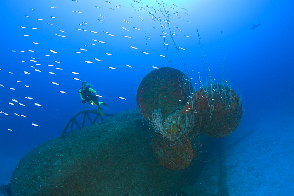 Diver at Propeller of Wreck USS Anderson Destroyer, Marshall Islands, Bikini Atoll, Micronesia, Pacific Ocean