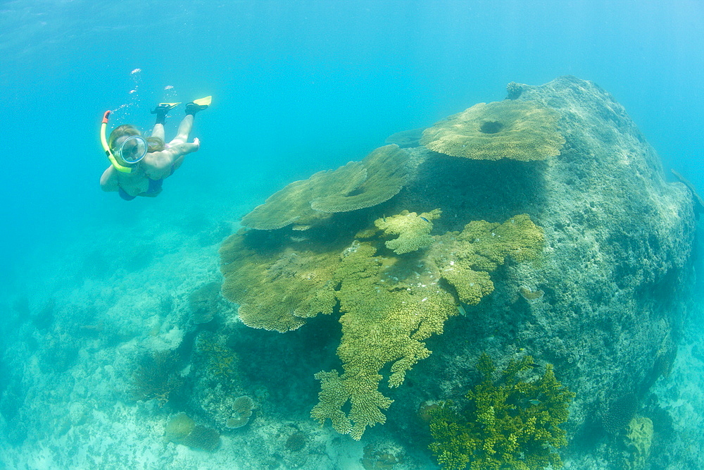 Snorkeler over Corals in Bikini Lagoon, Marshall Islands, Bikini Atoll, Micronesia, Pacific Ocean