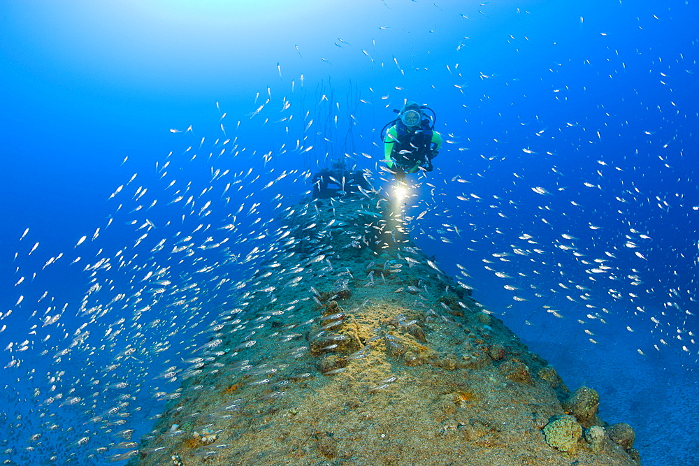 Diver over Stern of USS Apogon Submarine, Marshall Islands, Bikini Atoll, Micronesia, Pacific Ocean