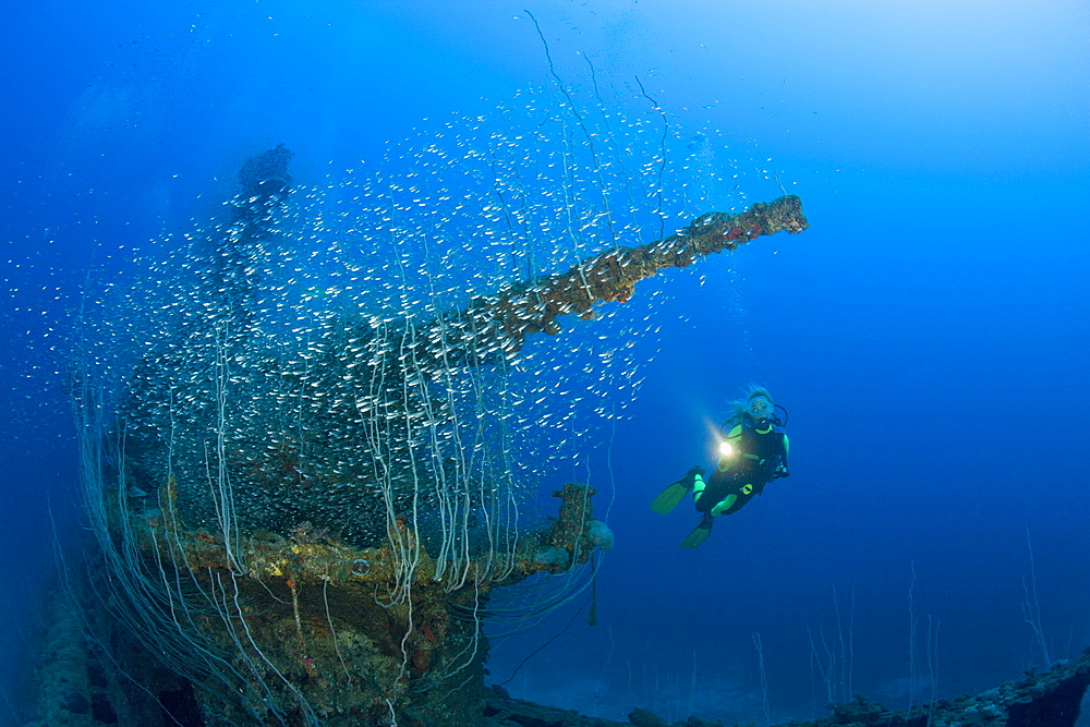 Diver and 5-inch Deck Gun of USS Apogon Submarine, Marshall Islands, Bikini Atoll, Micronesia, Pacific Ocean