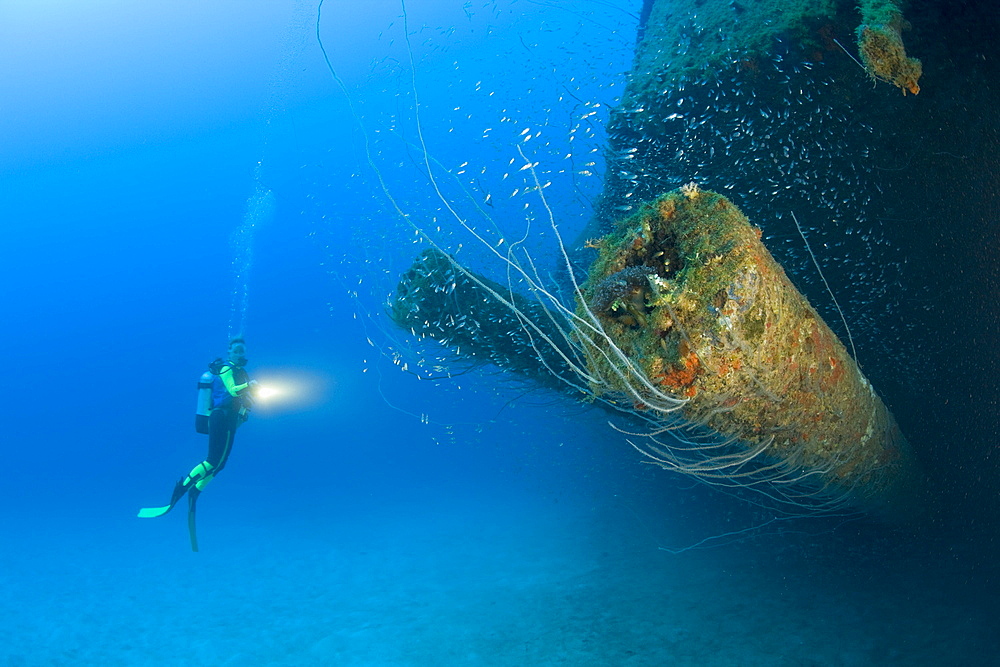 Diver at 12-inch Guns of USS Arkansas Battleship, Marshall Islands, Bikini Atoll, Micronesia, Pacific Ocean