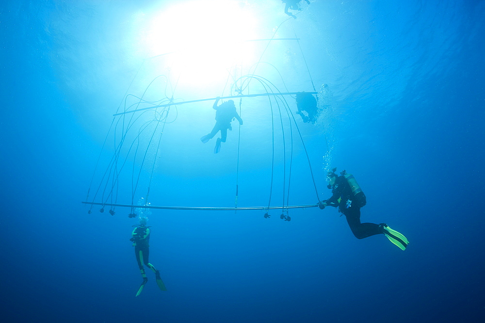 Divers decompress with Oxygen after deep Wreckdive at Decompression Trapeze, Marshall Islands, Bikini Atoll, Micronesia, Pacific Ocean