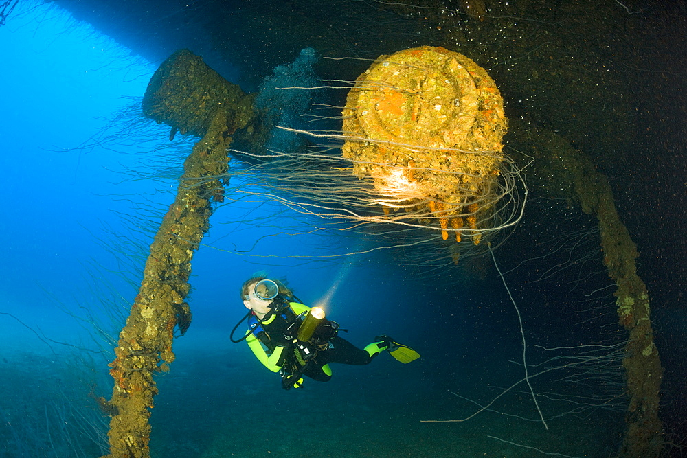 Diver at massive 16-inch 45 Caliber Gun under the HIJMS Nagato Battleship, Marshall Islands, Bikini Atoll, Micronesia, Pacific Ocean