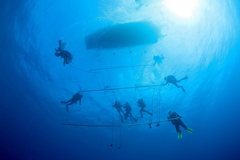 Divers at Decompression Trapeze after deep Wreckdive, Marshall Islands, Bikini Atoll, Micronesia, Pacific Ocean