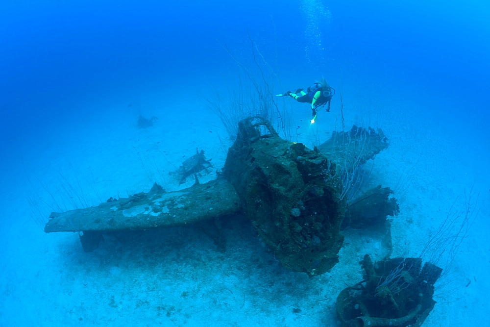 Diver and Bomber on Port Side of USS Saratoga, Marshall Islands, Bikini Atoll, Micronesia, Pacific Ocean