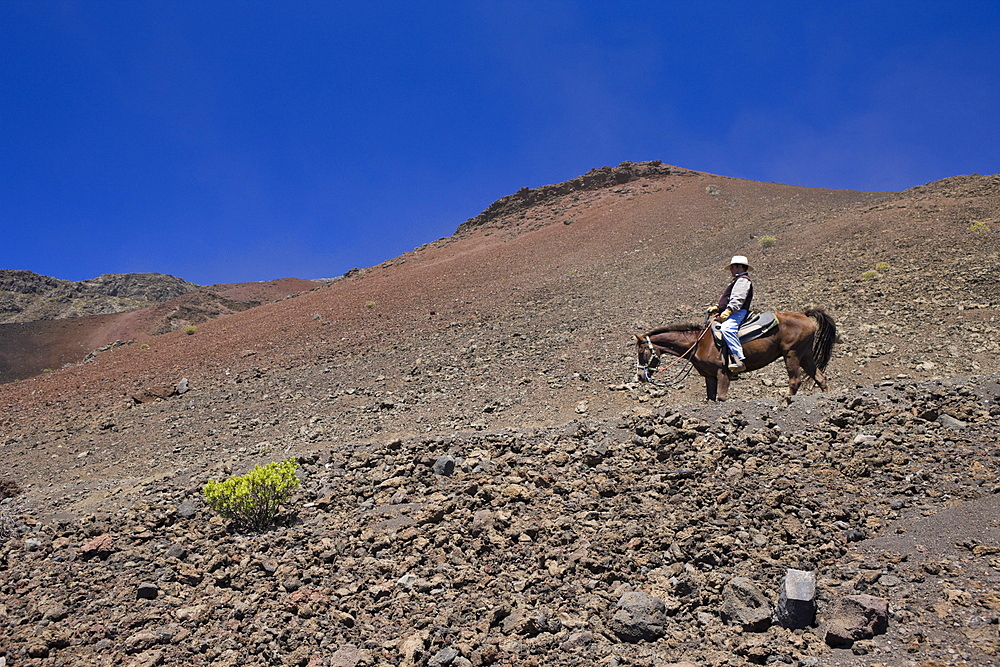 Horse Riding at Crater of Haleakala Volcano, Maui, Hawaii, USA