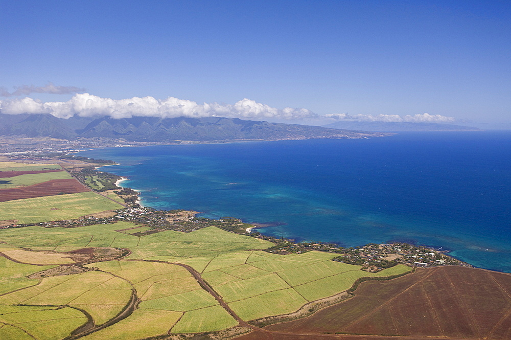 Pineapple Farm at Maui, Maui, Hawaii, USA