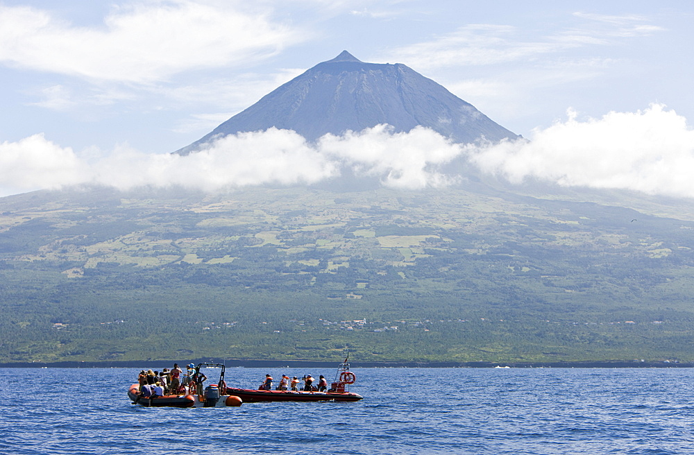 Tourists at Whale watching Tour, Azores, Atlantic Ocean, Portugal