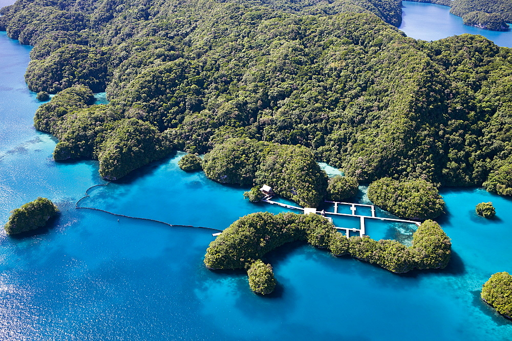 Dolphin Bay in Rock Islands, Micronesia, Palau