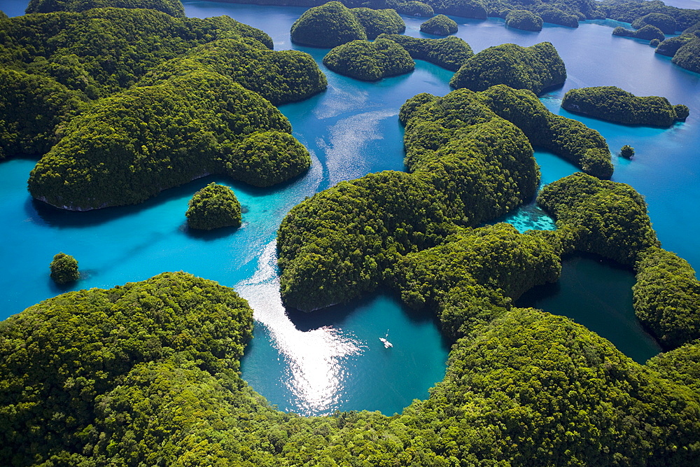 Islands of Palau, Micronesia, Palau