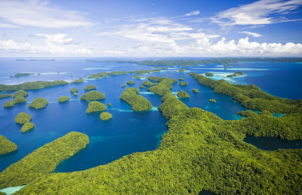 Islands of Palau, Micronesia, Palau