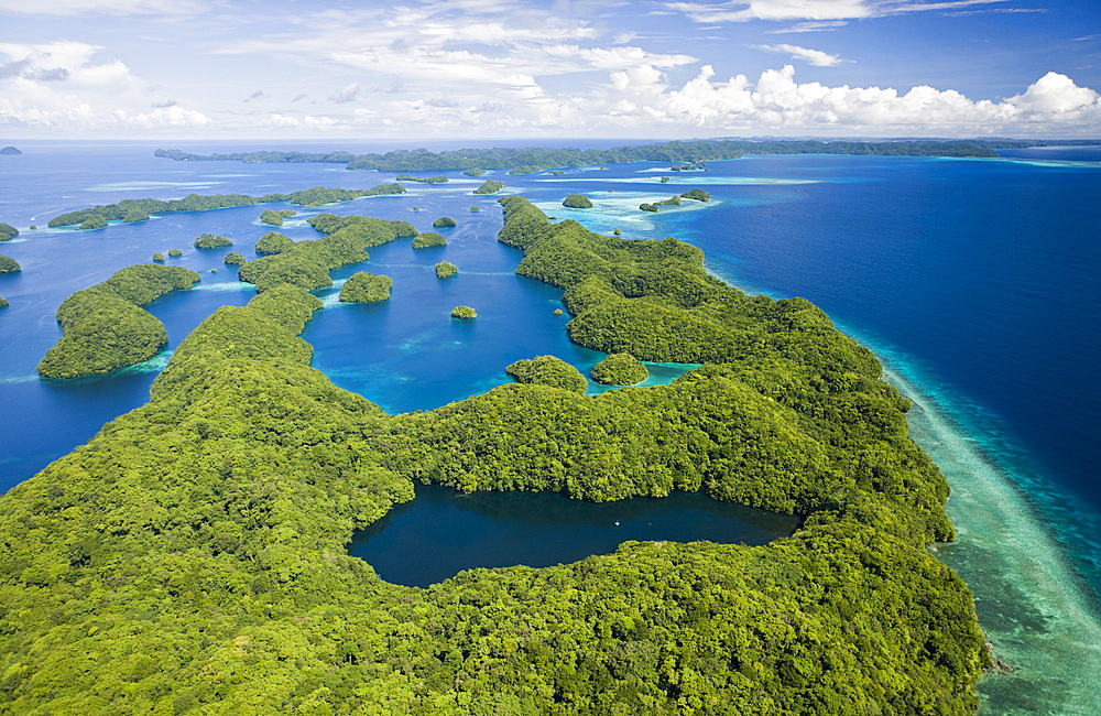 Aerial View of Jellyfish Lake of Palau, Micronesia, Palau