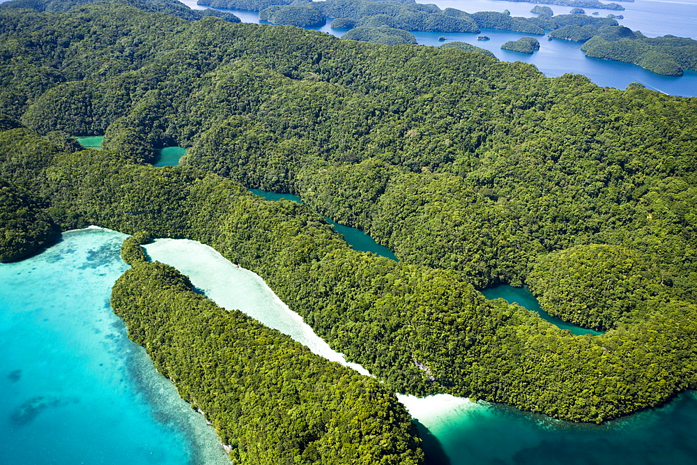 Islands of Palau, Micronesia, Palau