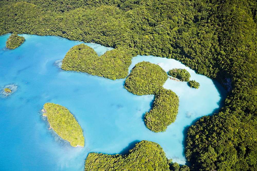 Islands of Palau, Micronesia, Palau