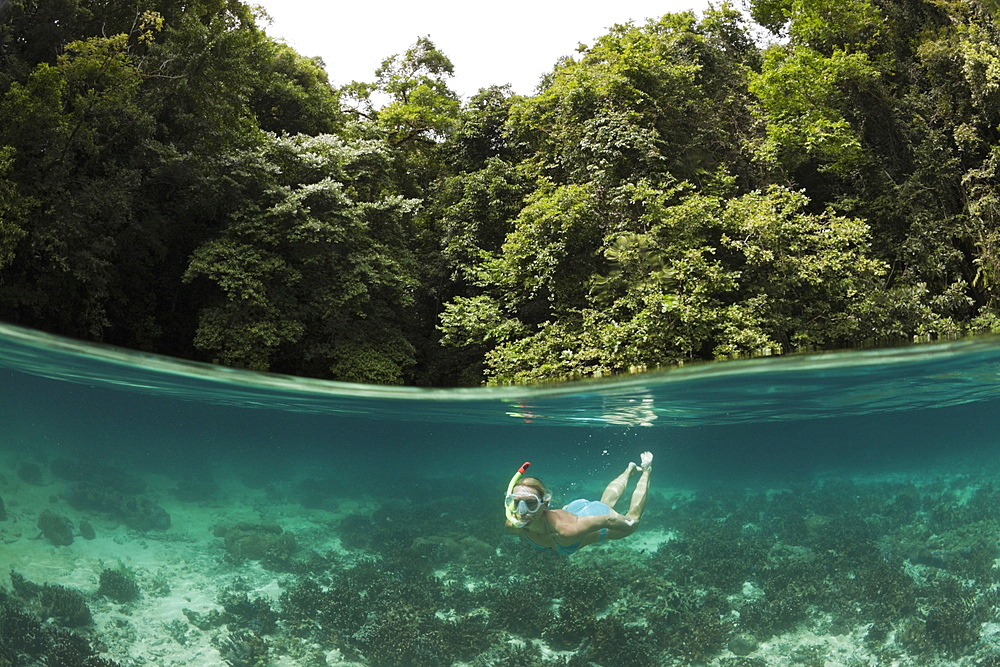 Snorkeling in Rock Islands, Risong Bay, Micronesia, Palau