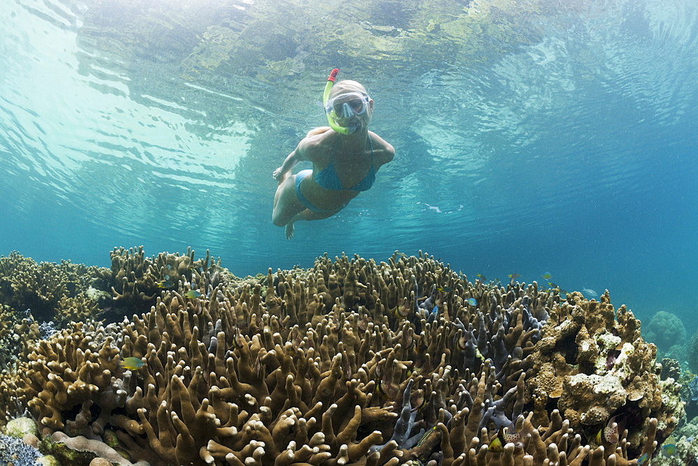 Snorkeling in Rock Islands, Risong Bay, Micronesia, Palau