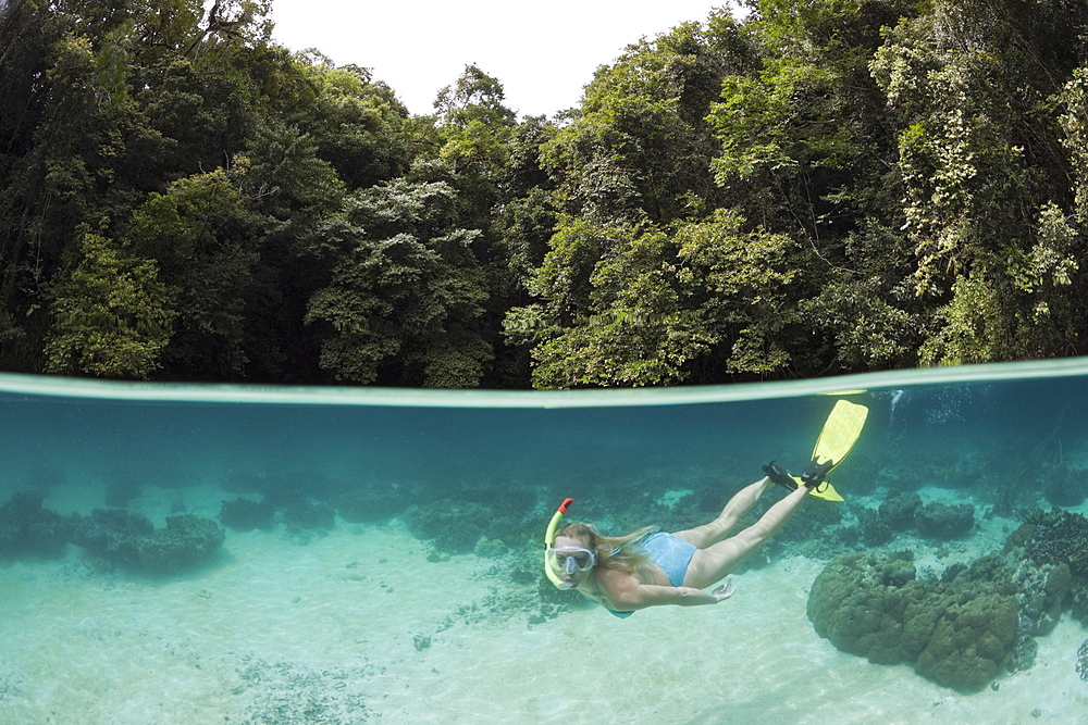 Snorkeling at Risong Bay, Risong Bay, Micronesia, Palau