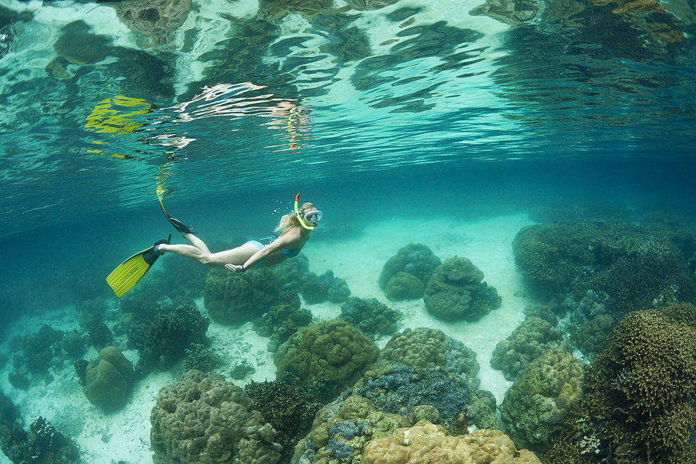 Snorkeling at Risong Bay, Risong Bay, Micronesia, Palau