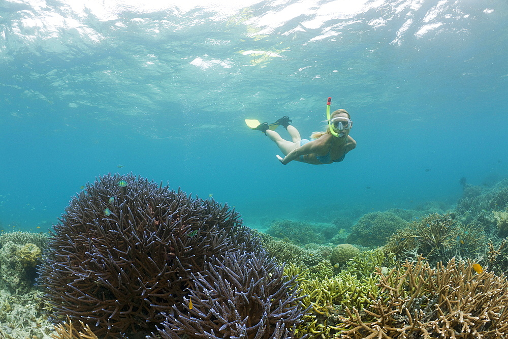 Snorkeling in Palau, Micronesia, Palau