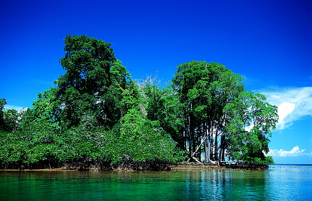 Mangroves island, Papua New Guinea, Neu Irland, New Ireland