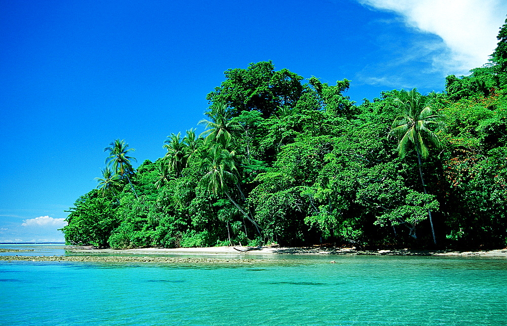 Mangroves island, Papua New Guinea, Neu Irland, New Ireland