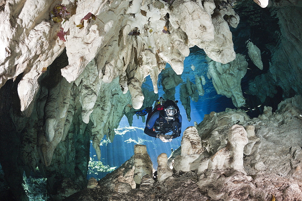 Scuba Diver in Gran Cenote, Tulum, Yucatan Peninsula, Mexico